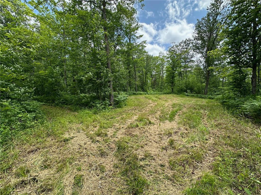 TBD Tamarac Road Onamia MN 56353 6743363 image10