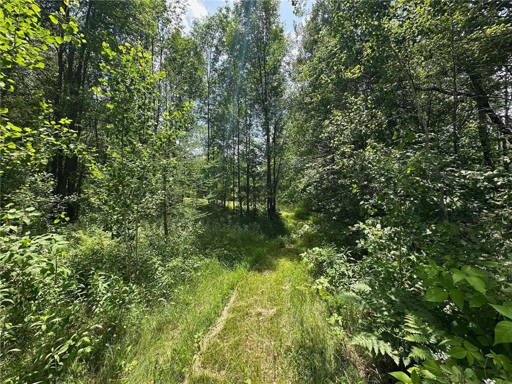 TBD Tamarac Road Onamia MN 56353 6743363 image13