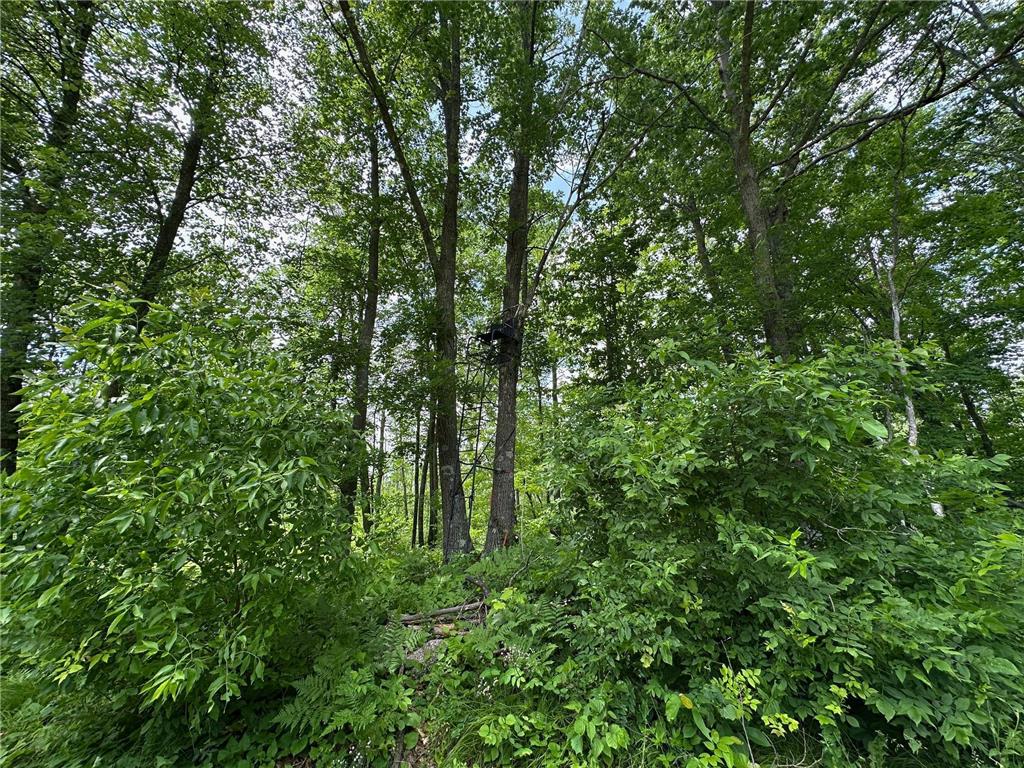 TBD Tamarac Road Onamia MN 56353 6743363 image14