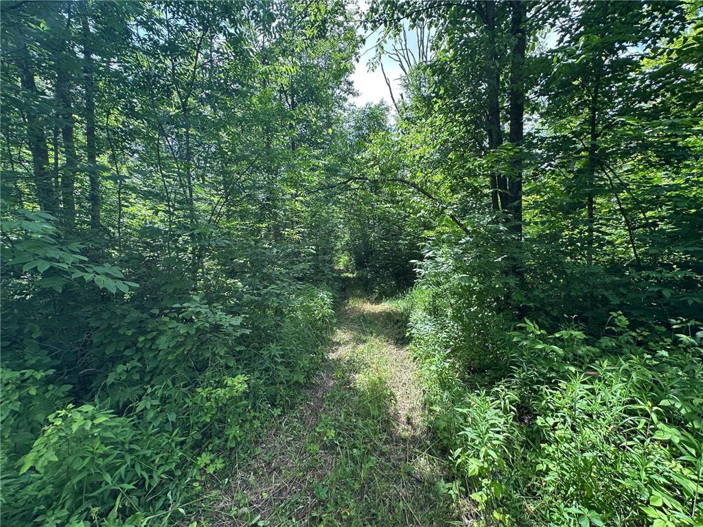 TBD Tamarac Road Onamia MN 56353 6743363 image15