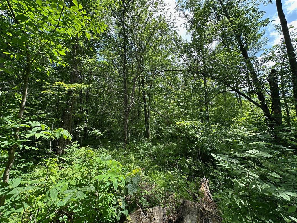 TBD Tamarac Road Onamia MN 56353 6743363 image16