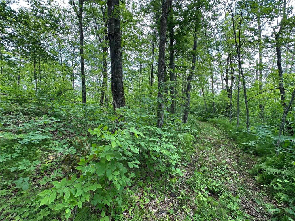 TBD Tamarac Road Onamia MN 56353 6743363 image17