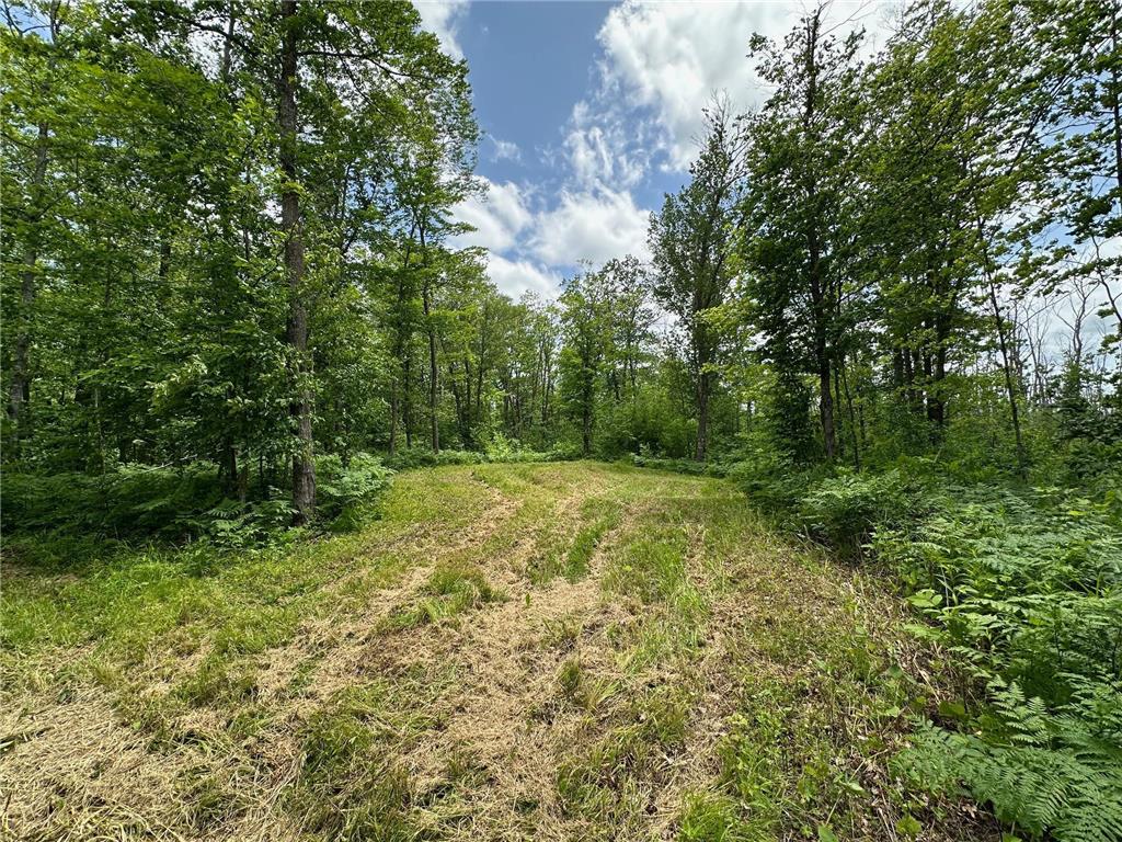 TBD Tamarac Road Onamia MN 56353 6743363 image18