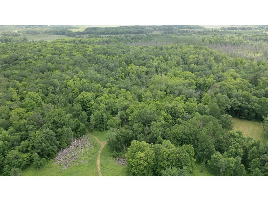 TBD Tamarac Road Onamia MN 56353 6743363 image2