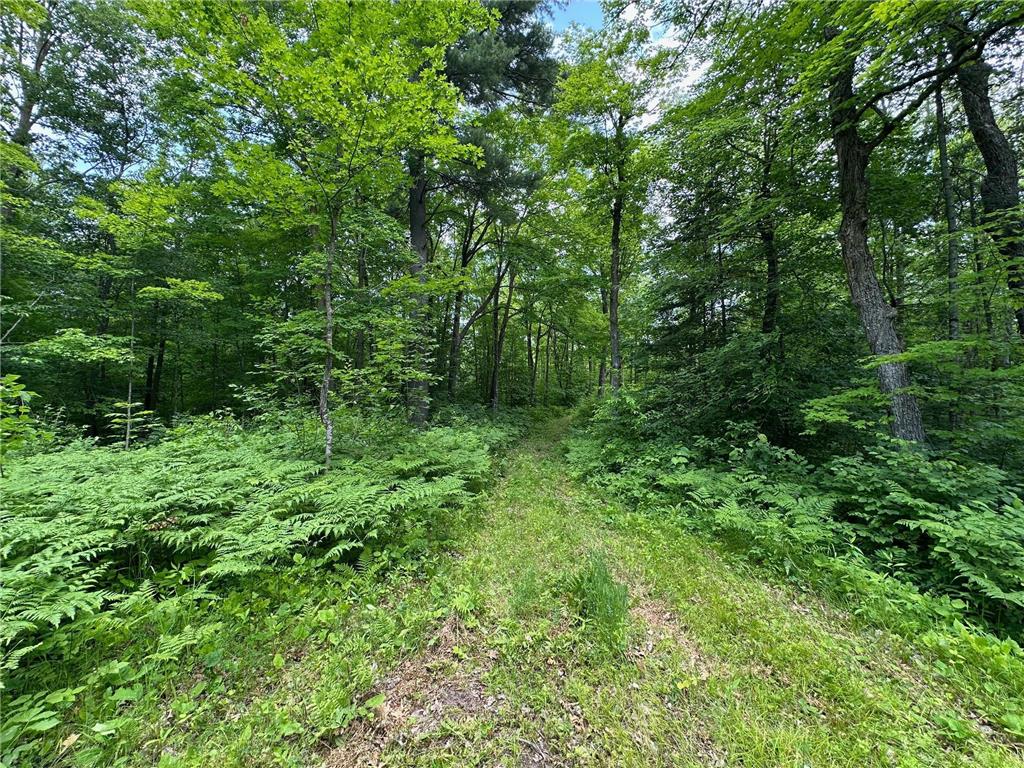 TBD Tamarac Road Onamia MN 56353 6743363 image21