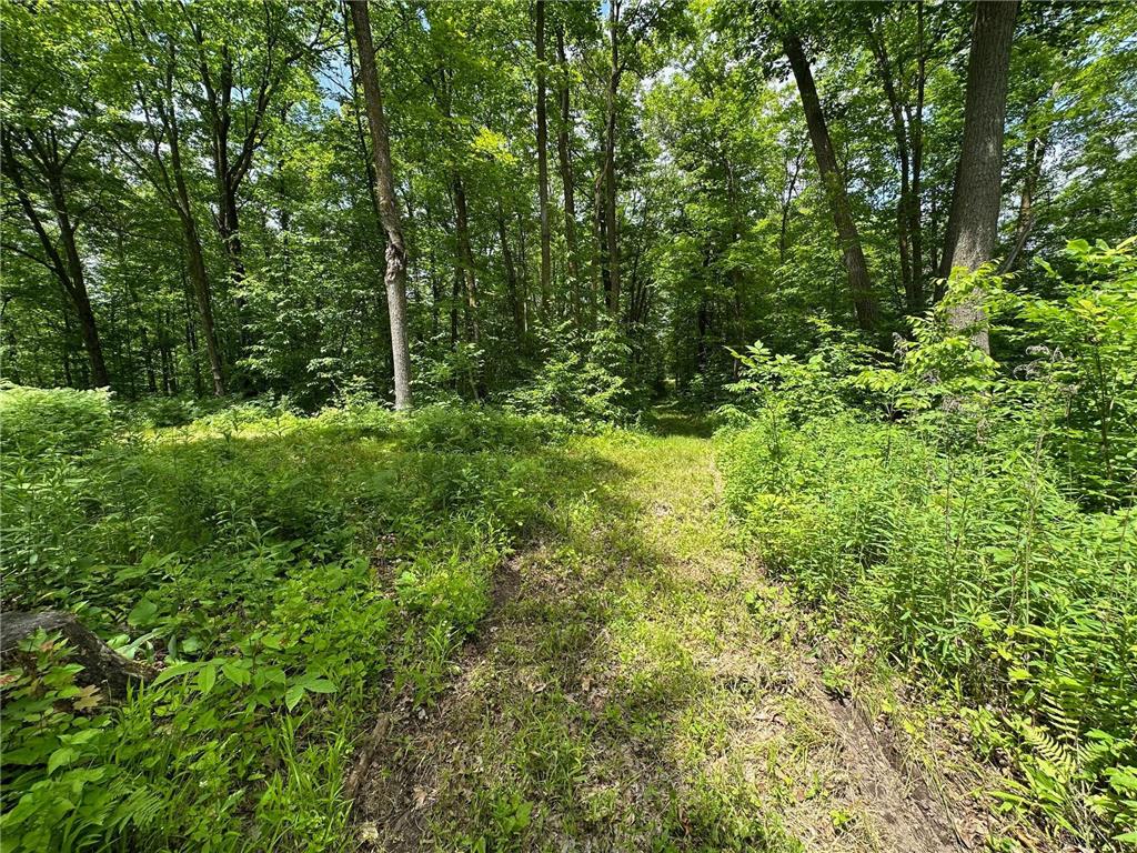 TBD Tamarac Road Onamia MN 56353 6743363 image22