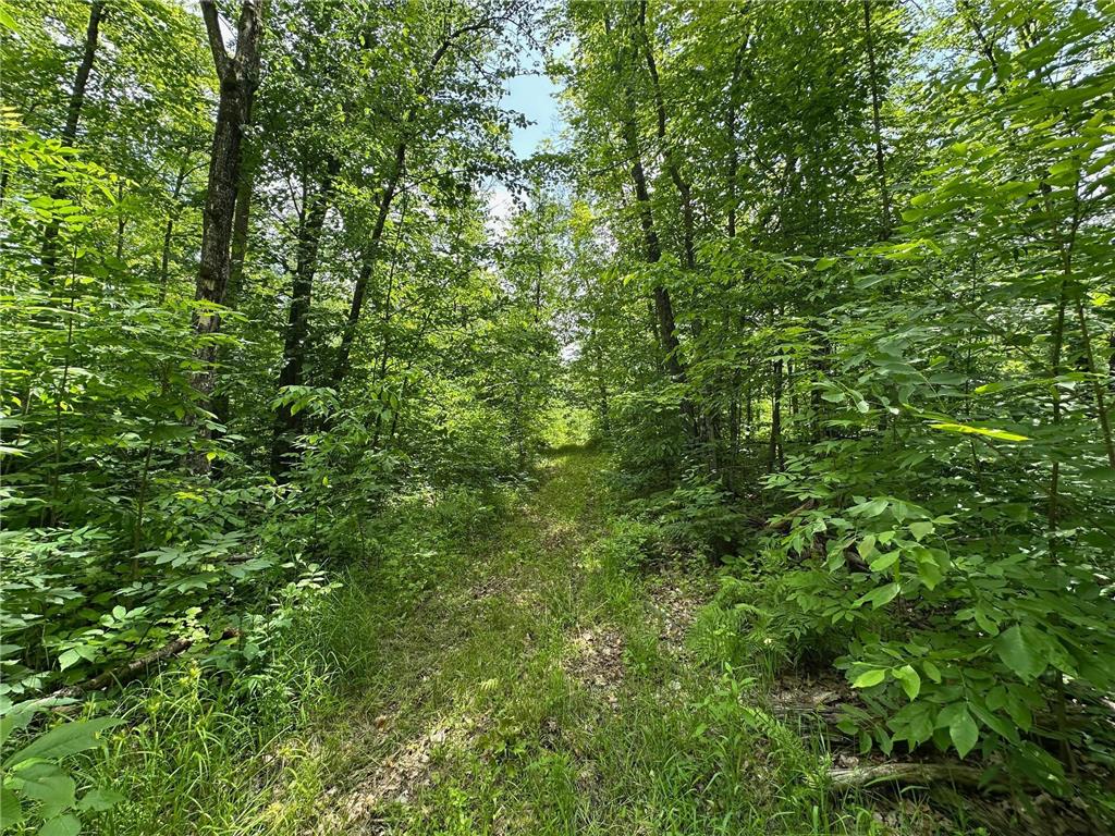 TBD Tamarac Road Onamia MN 56353 6743363 image23