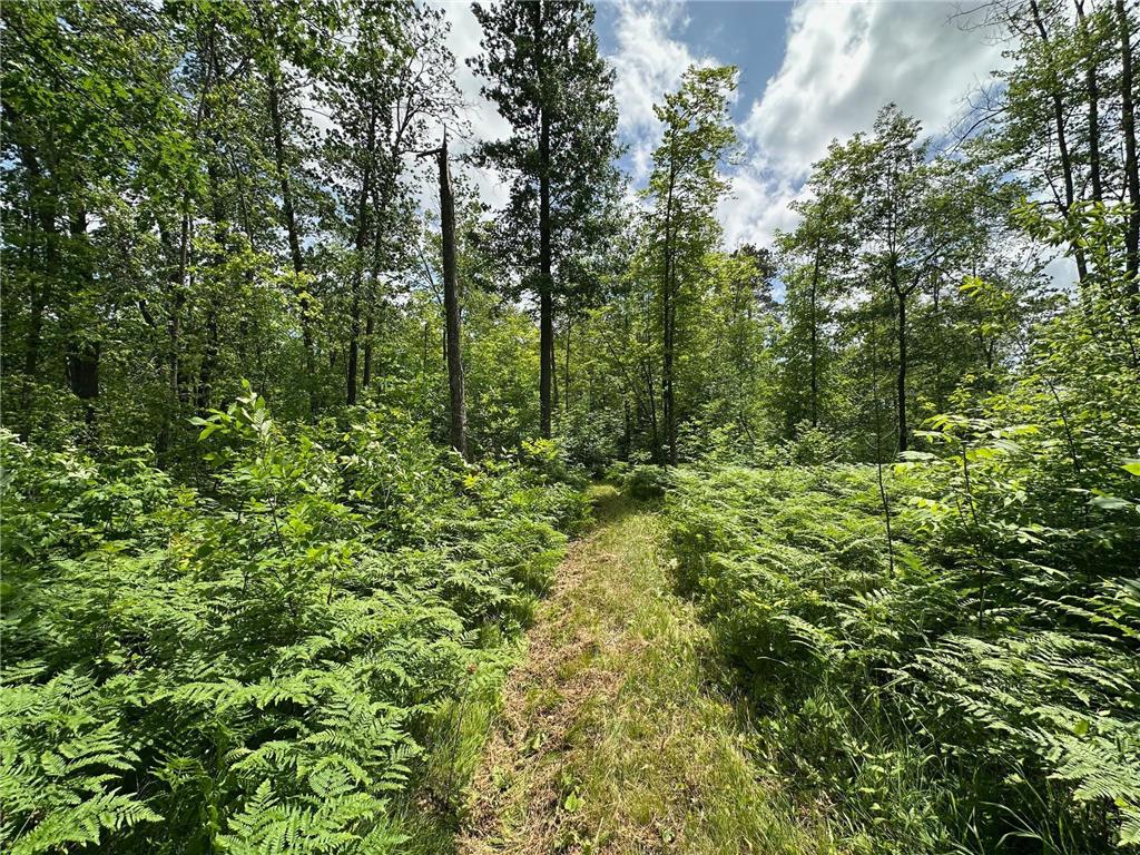 TBD Tamarac Road Onamia MN 56353 6743363 image24