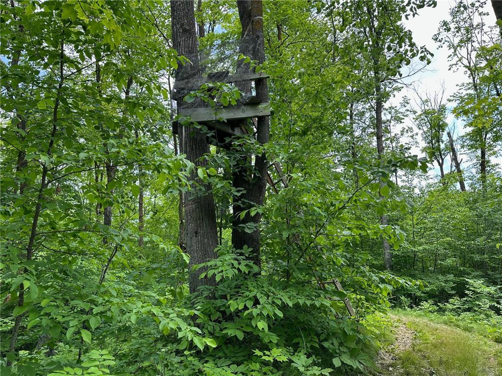 TBD Tamarac Road Onamia MN 56353 6743363 image26