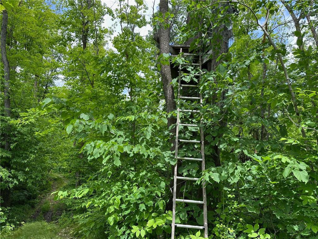 TBD Tamarac Road Onamia MN 56353 6743363 image27