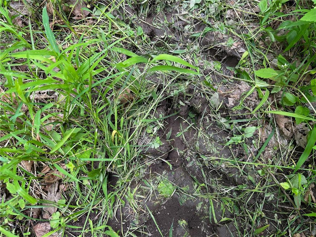 TBD Tamarac Road Onamia MN 56353 6743363 image29