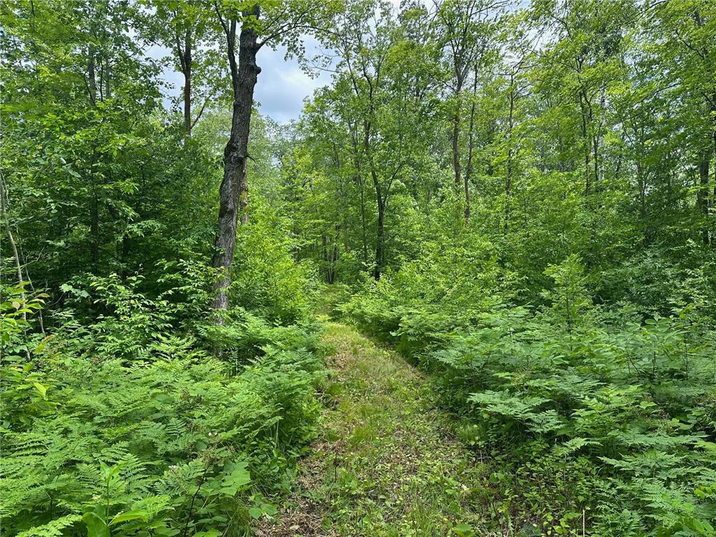 TBD Tamarac Road Onamia MN 56353 6743363 image34