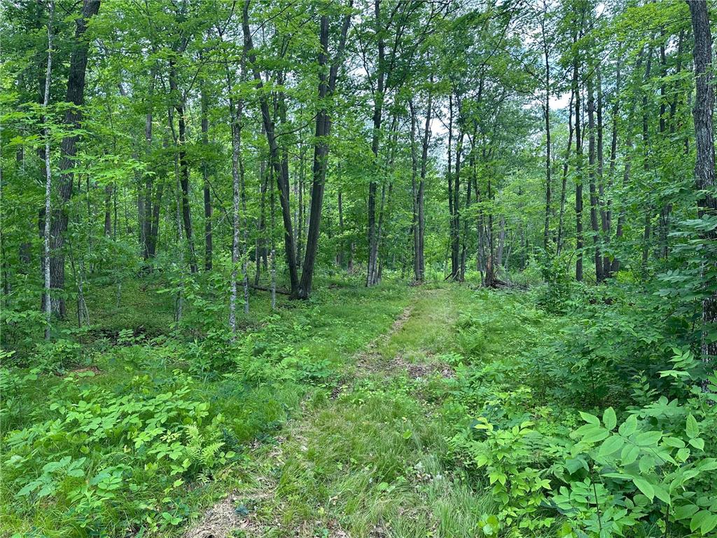 TBD Tamarac Road Onamia MN 56353 6743363 image35