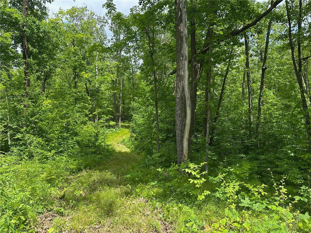 TBD Tamarac Road Onamia MN 56353 6743363 image37