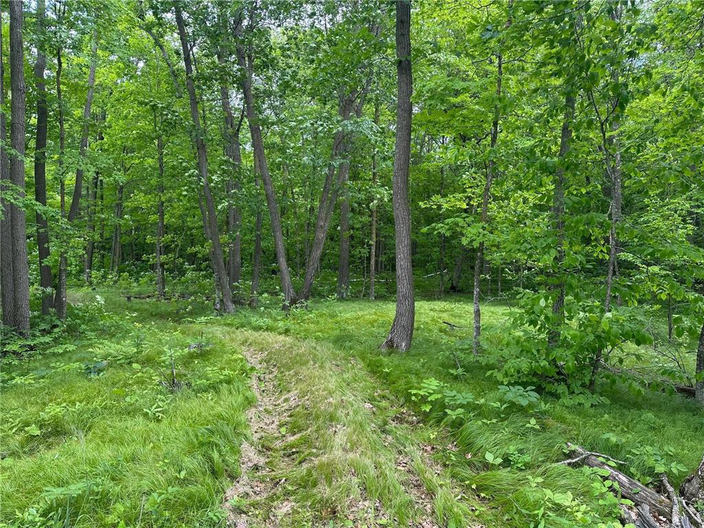 TBD Tamarac Road Onamia MN 56353 6743363 image39