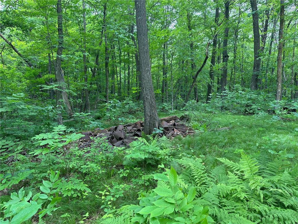 TBD Tamarac Road Onamia MN 56353 6743363 image40