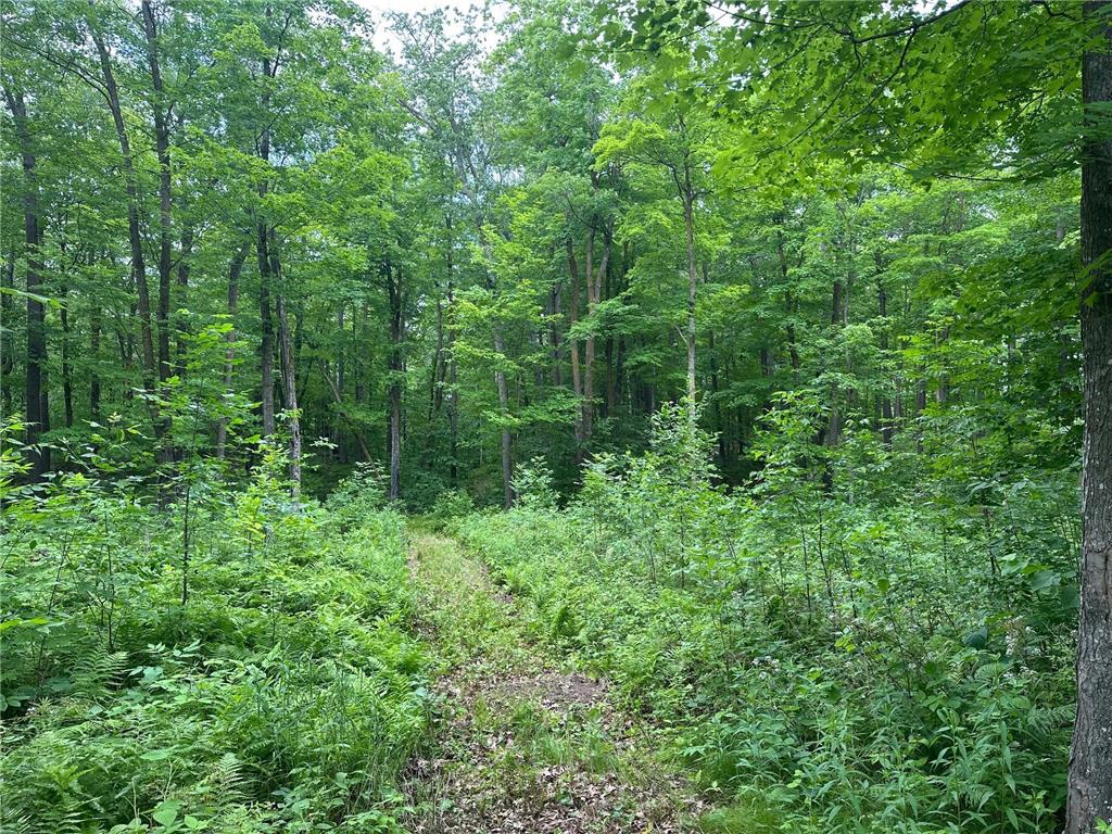 TBD Tamarac Road Onamia MN 56353 6743363 image41