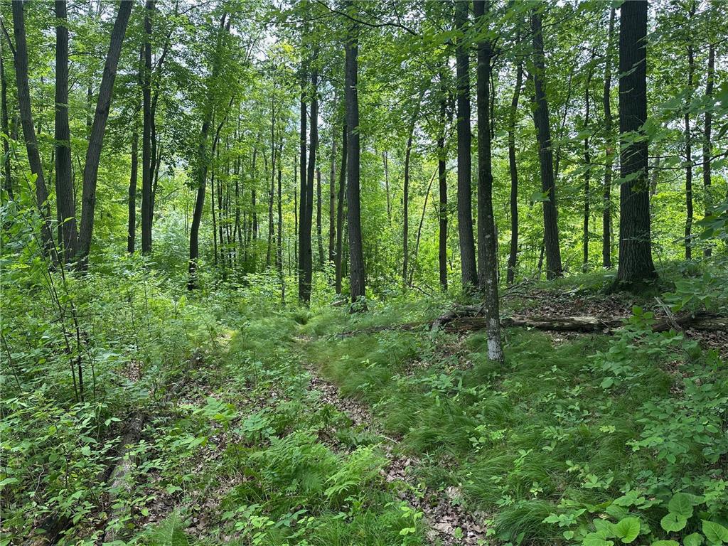 TBD Tamarac Road Onamia MN 56353 6743363 image44