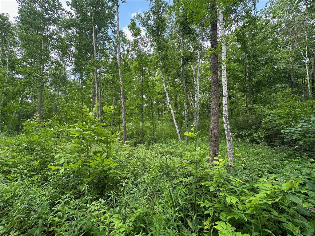 TBD Tamarac Road Onamia MN 56353 6743363 image46