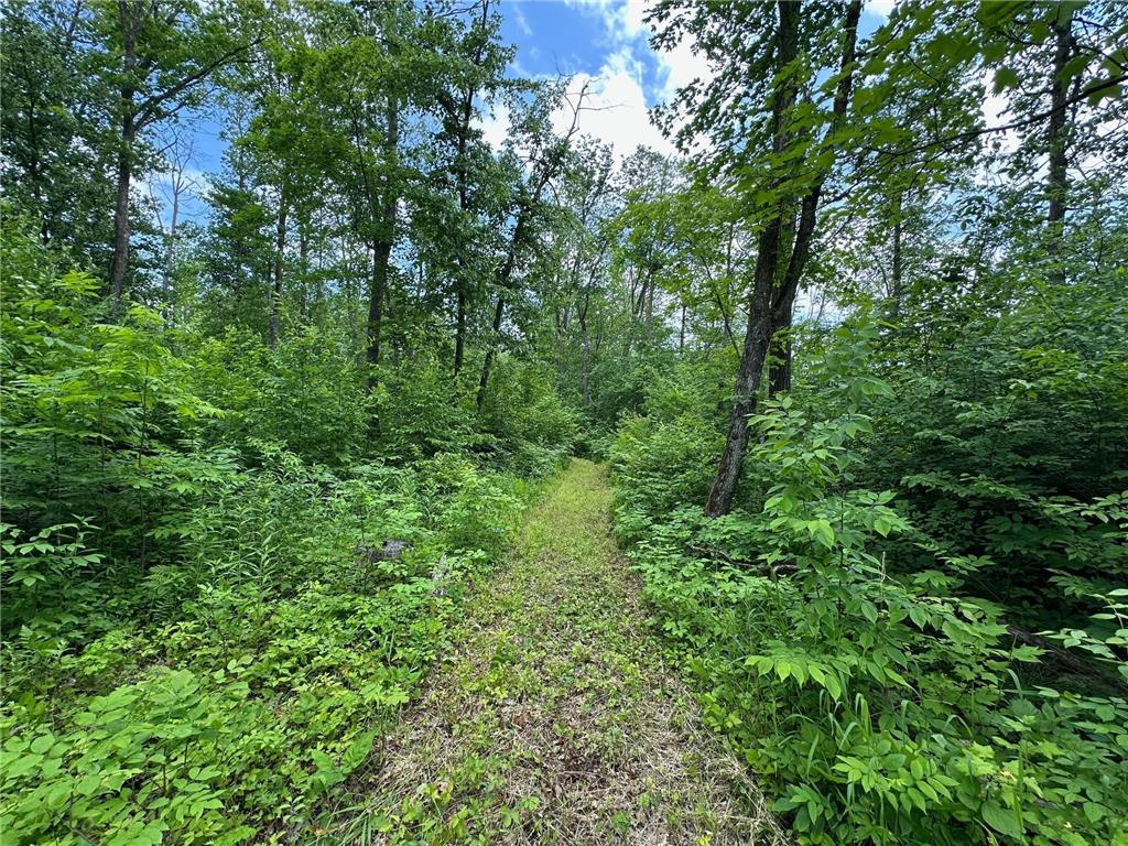 TBD Tamarac Road Onamia MN 56353 6743363 image9