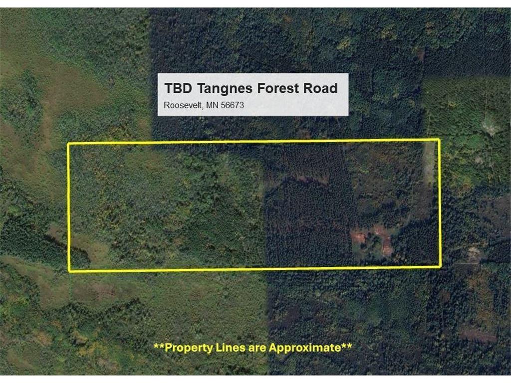 TBD Tangnes Forest Road Roosevelt MN 56673 6718711 image1
