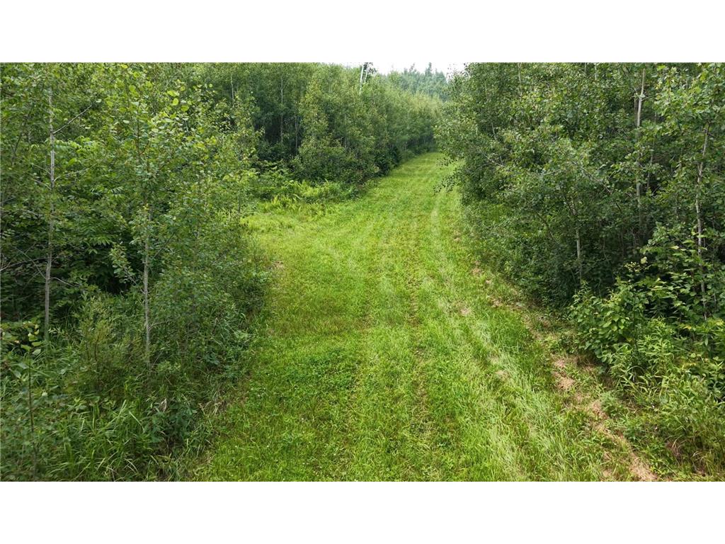 TBD Tangnes Forest Road Southeast Roseau Unorg. Terr. MN 56673 6695705 image21