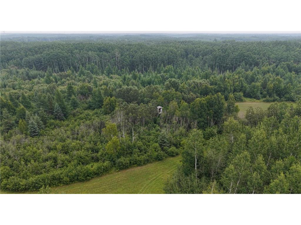 TBD Tangnes Forest Road Southeast Roseau Unorg. Terr. MN 56673 6695705 image23