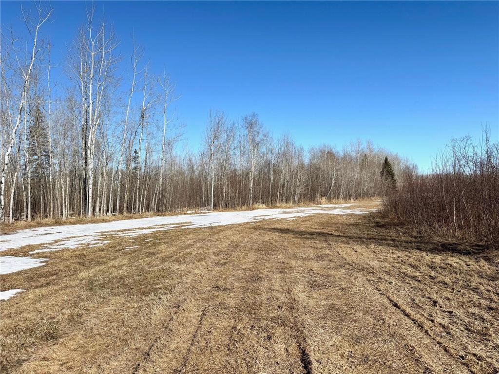 TBD Tangnes Forest Road Southeast Roseau Unorg. Terr. MN 56673 6695705 image26