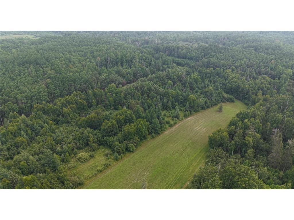 TBD Tangnes Forest Road Southeast Roseau Unorg. Terr. MN 56673 6695705 image3