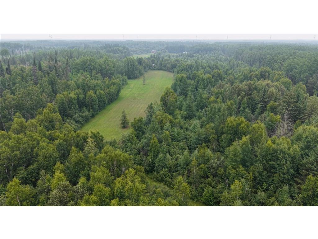 TBD Tangnes Forest Road Southeast Roseau Unorg. Terr. MN 56673 6695705 image4