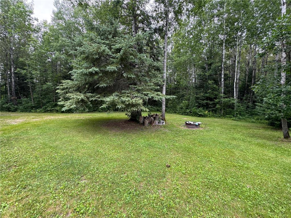 TBD Tangnes Forest Road Southeast Roseau Unorg. Terr. MN 56673 6695705 image6