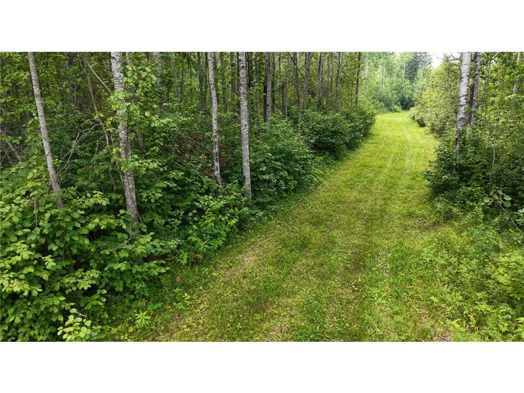 TBD Tangnes Forest Road Southeast Roseau Unorg. Terr. MN 56673 7052608 image19
