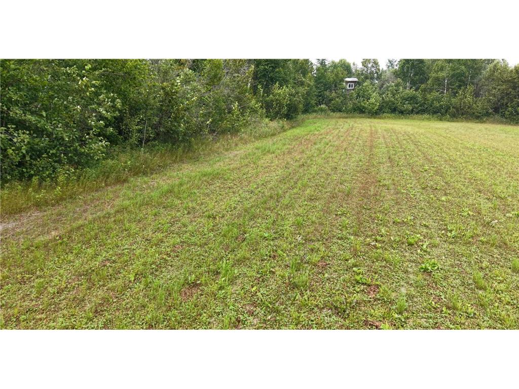 TBD Tangnes Forest Road Southeast Roseau Unorg. Terr. MN 56673 7052608 image20