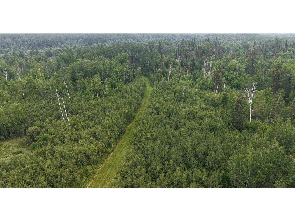 TBD Tangnes Forest Road Southeast Roseau Unorg. Terr. MN 56673 7052608 image22