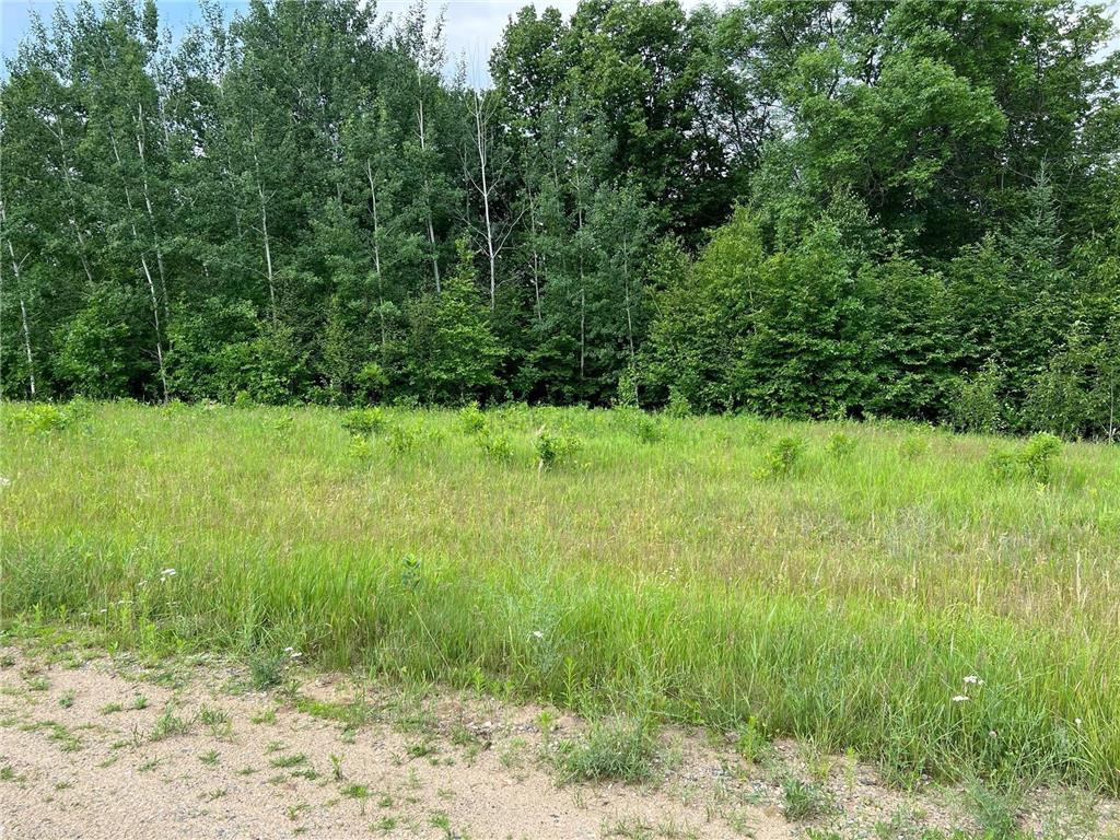 Lot 4 Tango Drive Helga Twp MN 56601 - Plantagenet 6397454 image1