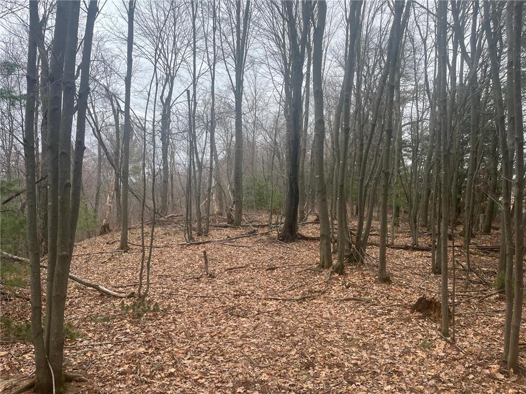 TBD Ten Mile Drive Dovre Twp WI 54757 - Tenmile Creek 7105576 image11