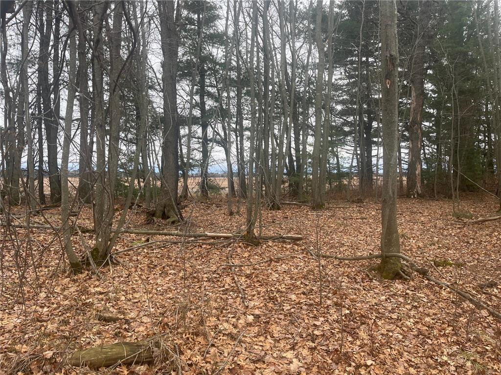 TBD Ten Mile Drive Dovre Twp WI 54757 - Tenmile Creek 7105576 image13