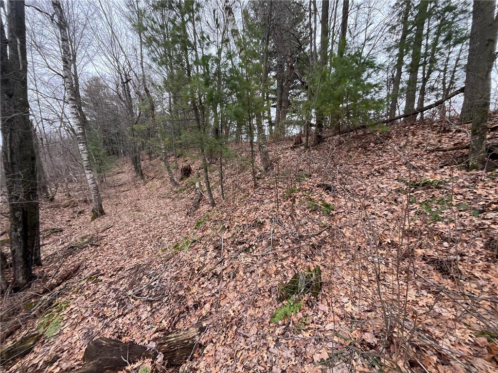 TBD Ten Mile Drive Dovre Twp WI 54757 - Tenmile Creek 7105576 image16