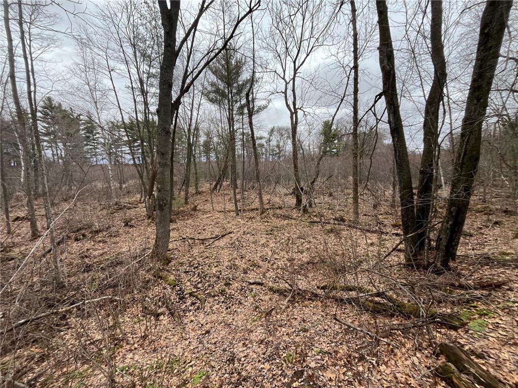 TBD Ten Mile Drive Dovre Twp WI 54757 - Tenmile Creek 7105576 image17