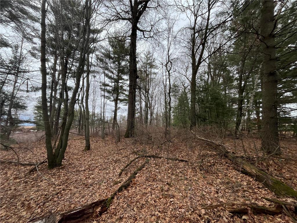 TBD Ten Mile Drive Dovre Twp WI 54757 - Tenmile Creek 7105576 image7
