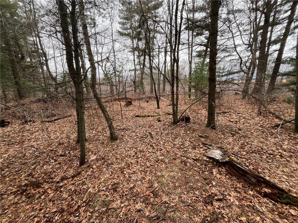 TBD Ten Mile Drive Dovre Twp WI 54757 - Tenmile Creek 7105576 image9