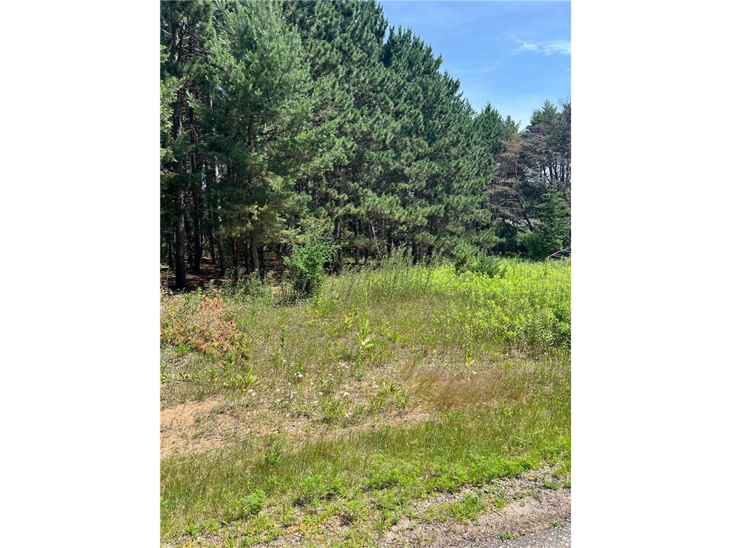 TBD Thomas Drive Little Falls MN 56345 7103904 image1