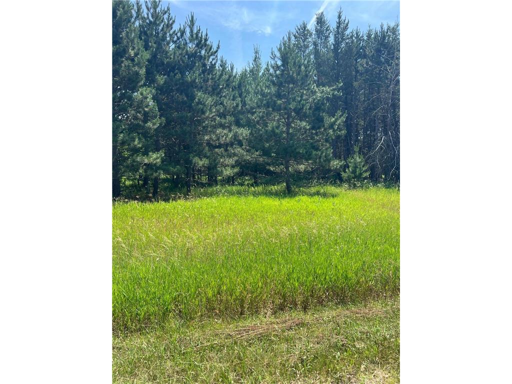 TBD Thomas Drive Little Falls MN 56345 7103904 image2