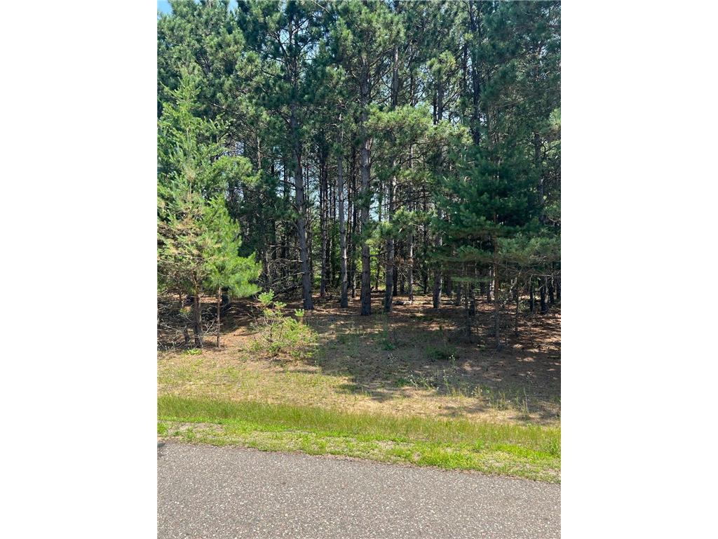 TBD Thomas Drive Little Falls MN 56345 7103904 image3