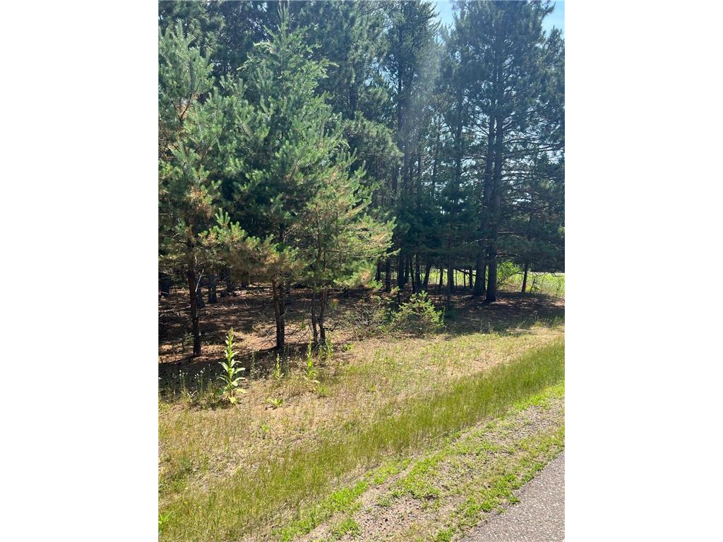 TBD Thomas Drive Little Falls MN 56345 7103904 image4