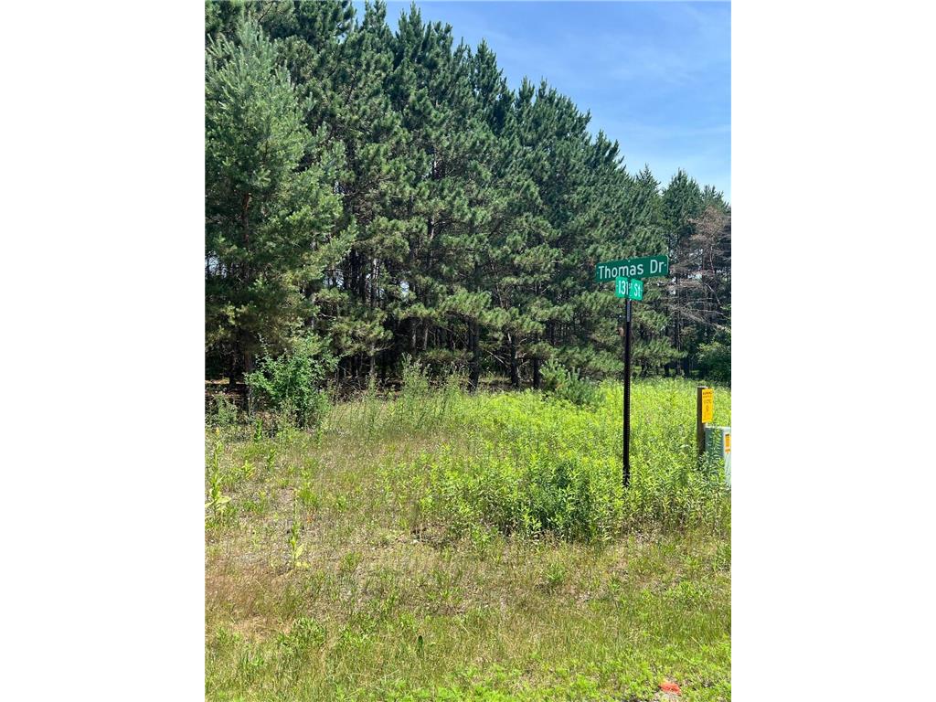 TBD Thomas Drive Little Falls MN 56345 7103904 image5