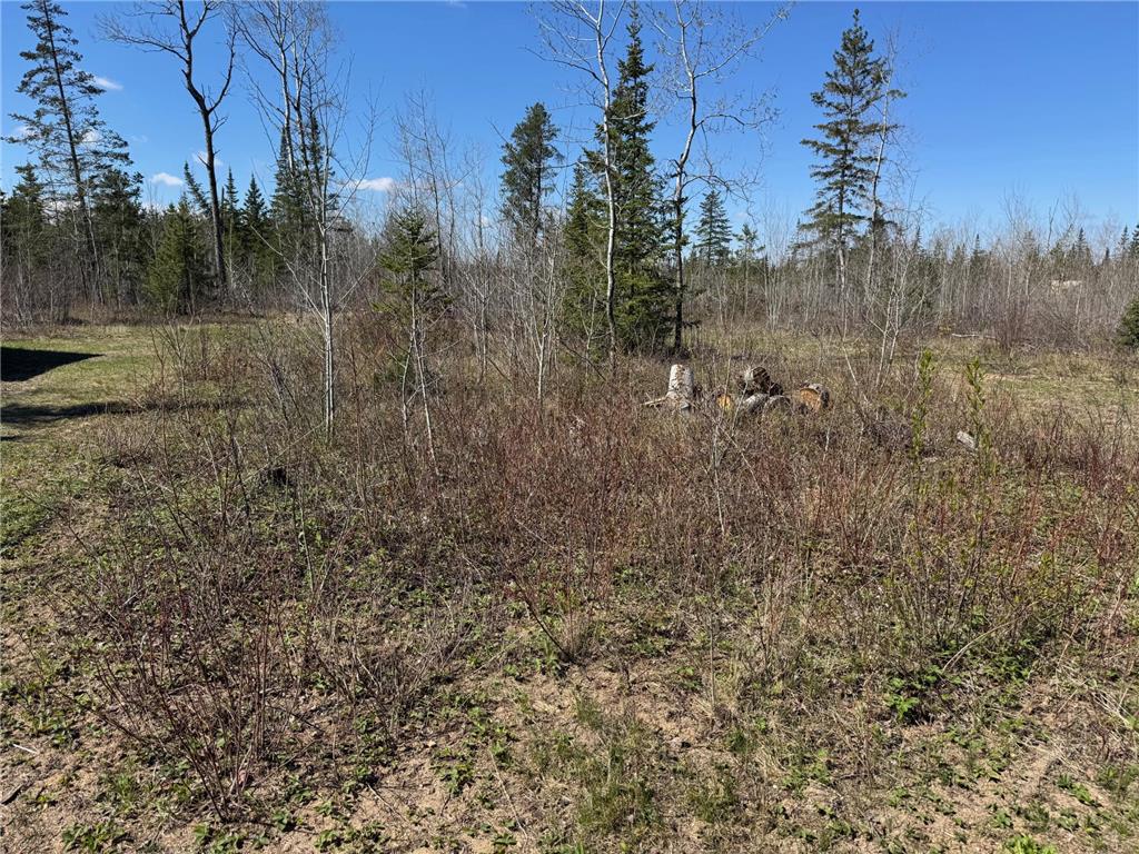 TBD Thompson Forest Road Beaver Twp MN 56751 7079132 image10