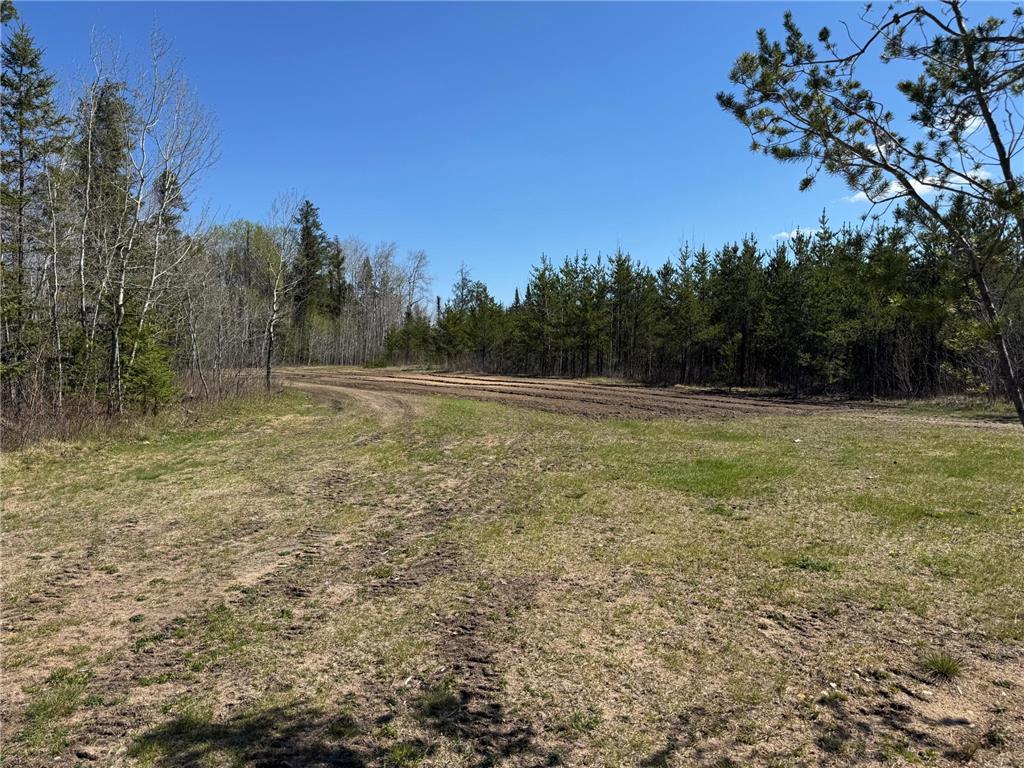 TBD Thompson Forest Road Beaver Twp MN 56751 7079132 image12
