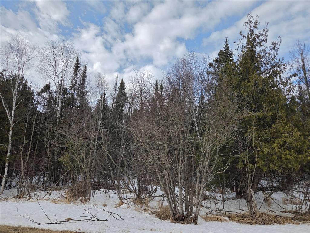 TBD Three Mile Road NE Hornet Twp MN 56630 7038556 image1