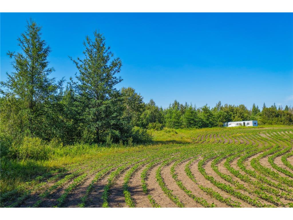 TBD Three Mile Road NE Hornet Twp MN 56630 7038556 image10